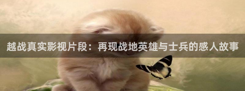 大地影院高清在线官网观看免费